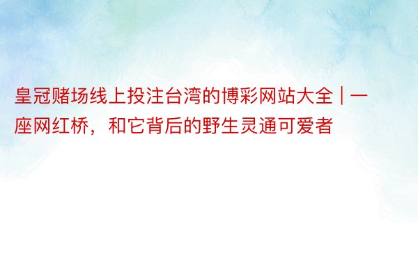 皇冠赌场线上投注台湾的博彩网站大全 | 一座网红桥，和它背后的野生灵通可爱者