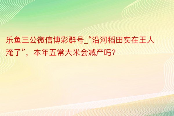 乐鱼三公微信博彩群号_“沿河稻田实在王人淹了”，本年五常大米会减产吗？