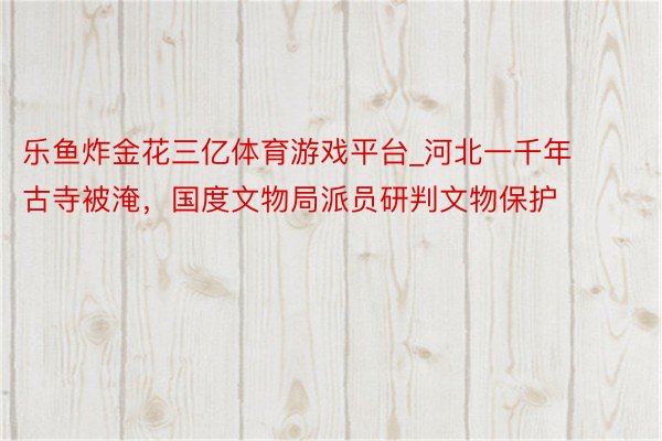 乐鱼炸金花三亿体育游戏平台_河北一千年古寺被淹，国度文物局派员研判文物保护